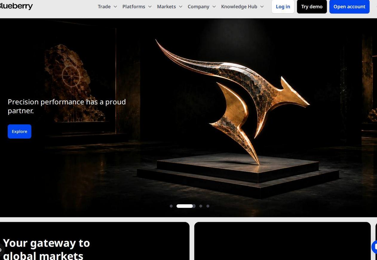 Screenshot of the Blueberry Markets website