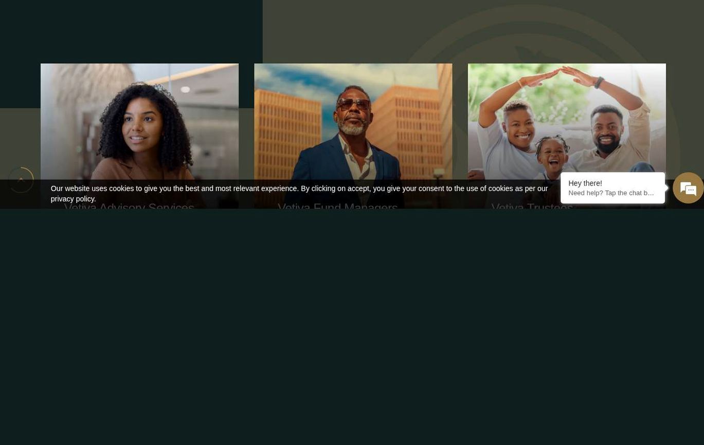 Screenshot of the Vetiva website
